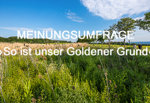 Online-Umfrage